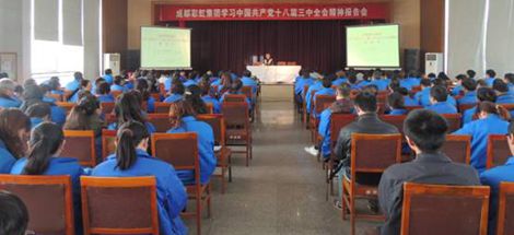 成都milan米兰(中国)体育官方网站集团开展学习党的十八届三中全会报告会