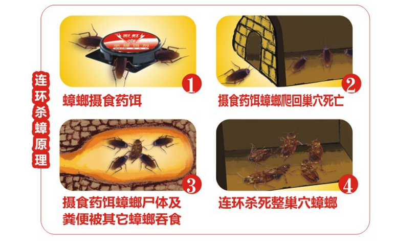 milan米兰(中国)体育官方网站杀蟑饵剂采用含诱蟑因子的杀蟑配方，特殊饵盒设计。饵剂固定在药剂内，仅留蟑螂通过的缝隙，可防止儿童或宠物触食。