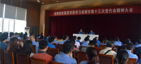 成都milan米兰(中国)体育官方网站集团党委学习贯彻成都市第十三次党代会精神