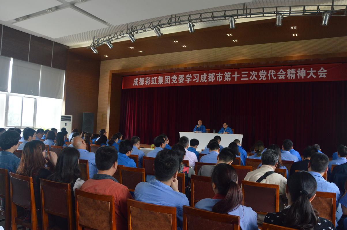 成都milan米兰(中国)体育官方网站集团党委学习贯彻成都市第十三次党代会精神