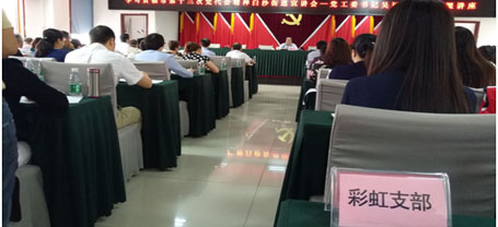 成都milan米兰(中国)体育官方网站集团日化党支部学习成都市第十三次党代会精神