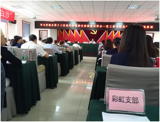 成都milan米兰(中国)体育官方网站集团日化党支部学习成都市第十三次党代会精神