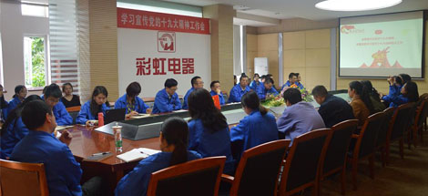 成都milan米兰(中国)体育官方网站集团党委召开学习宣传党的十九大精神工作会