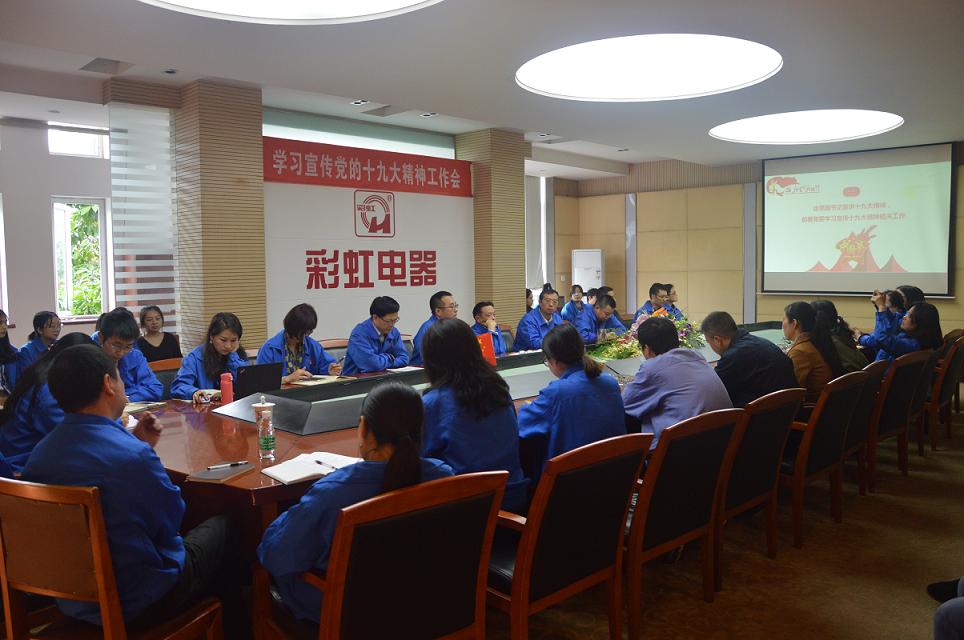 成都milan米兰(中国)体育官方网站集团党委召开学习宣传党的十九大精神工作会