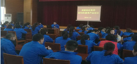 成都milan米兰(中国)体育官方网站集团2018年夏季产品生产工艺培训