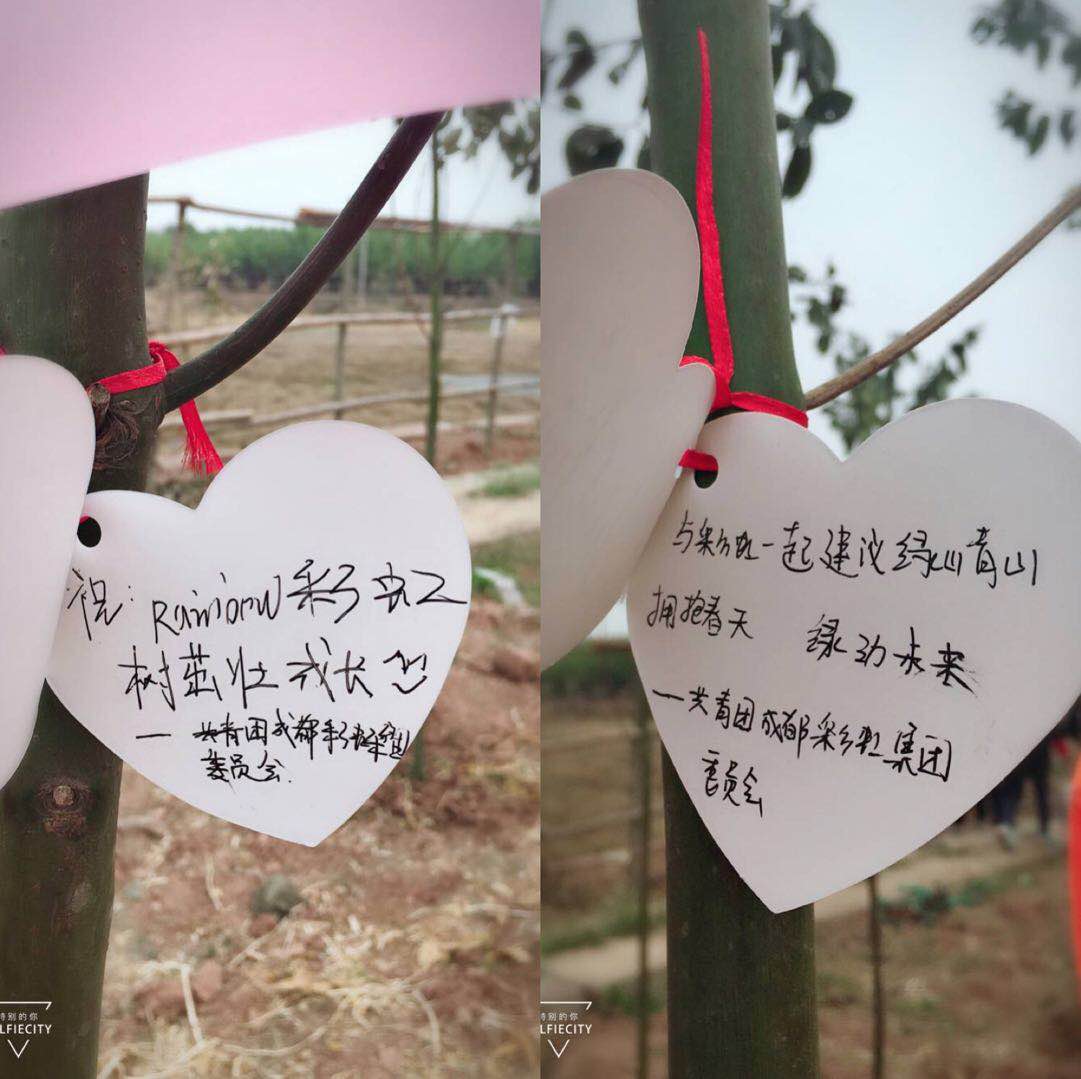 共青团成都milan米兰(中国)体育官方网站集团团委及团员青年代表参加高新区植树节志愿服务活动