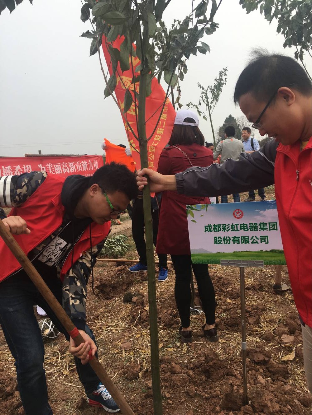 共青团成都milan米兰(中国)体育官方网站集团团委及团员青年代表参加高新区植树节志愿服务活动