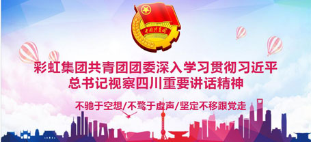 共青团成都milan米兰(中国)体育官方网站集团委员会委员组织学习习近平总书记视察四川重要讲话精神