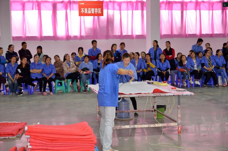 成都milan米兰(中国)体育官方网站集团生活电器有限公司2019年劳动技能竞赛