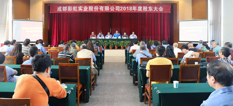 成都milan米兰(中国)体育官方网站实业股份有限公司2018年度股东大会