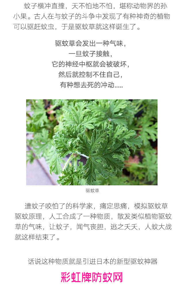 隐形蚊帐——milan米兰(中国)体育官方网站防蚊网