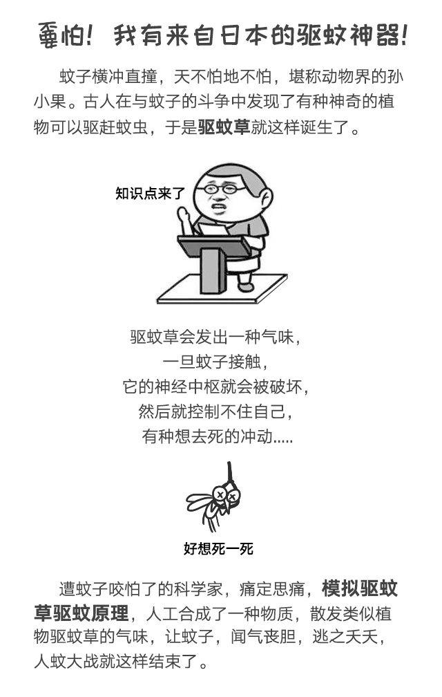 milan米兰(中国)体育官方网站防蚊网不惧日晒与风雨