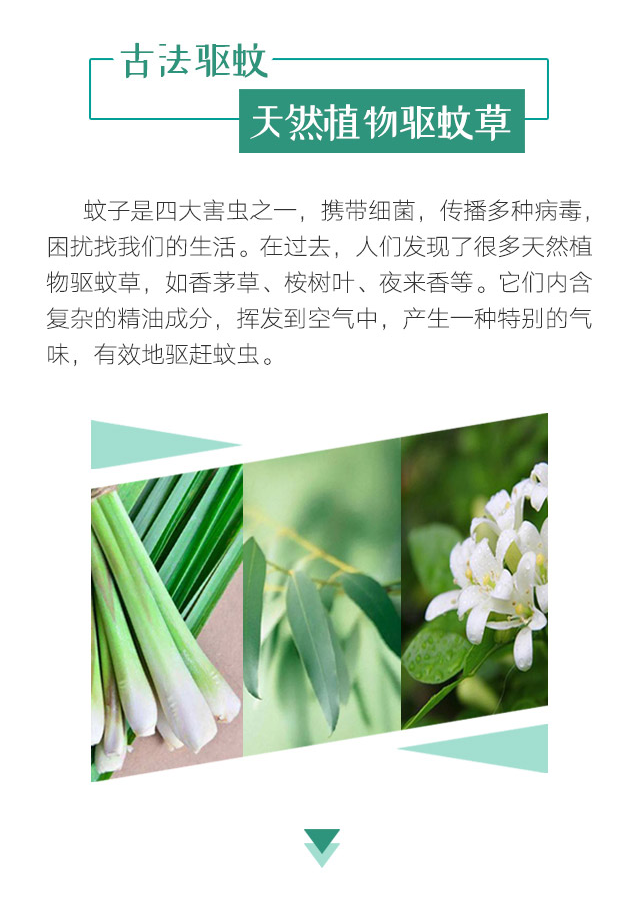 milan米兰(中国)体育官方网站天然植物精油驱蚊贴
