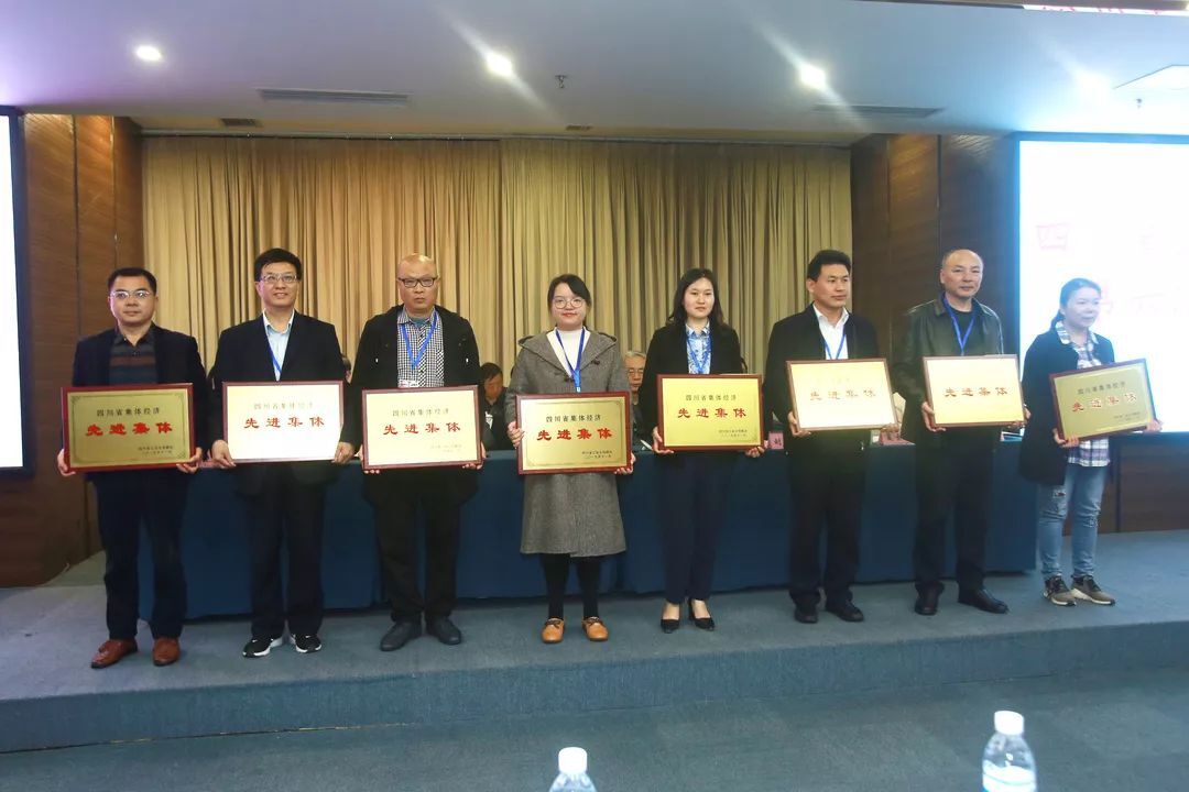成都milan米兰(中国)体育官方网站集团再次当选省联社常务理事单位并荣获四川省集体经济先进集体
