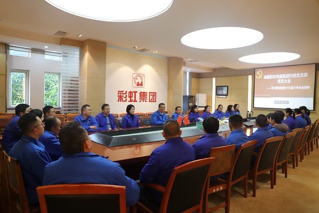 成都milan米兰(中国)体育官方网站集团行政党支部召开党员大会 传达学习党的十九届六中全会精神