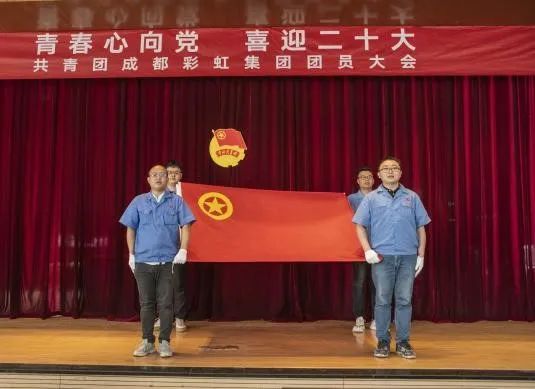 成都milan米兰(中国)体育官方网站集团召开2022年团员大会暨团委换届选举会议