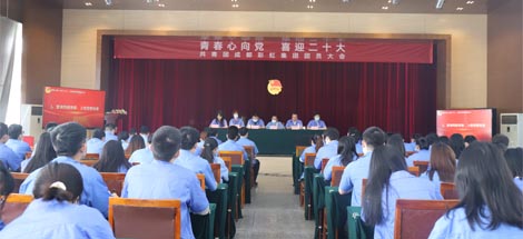 成都milan米兰(中国)体育官方网站集团召开2022年团员大会暨团委换届选举会议